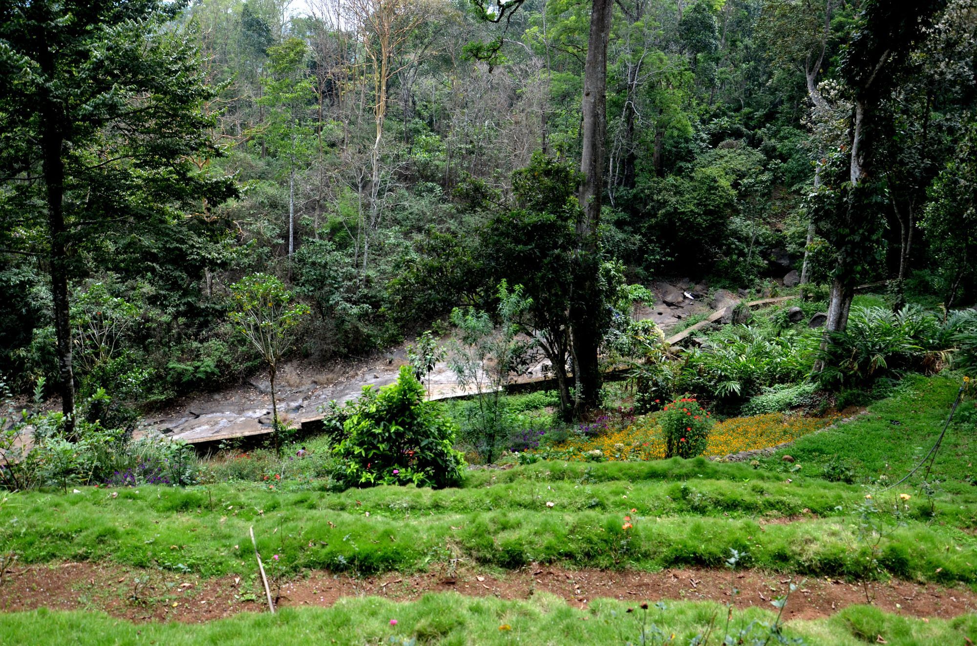 Bamboo Dale Hotel Munnar Luaran gambar
